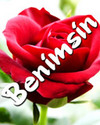 Benimsin1